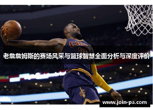 老詹詹姆斯的赛场风采与篮球智慧全面分析与深度评价