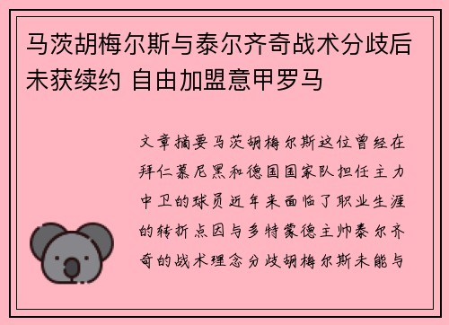 马茨胡梅尔斯与泰尔齐奇战术分歧后未获续约 自由加盟意甲罗马 马茨胡梅尔斯与泰尔齐奇战术分歧后未获续约 自由加盟意甲罗马